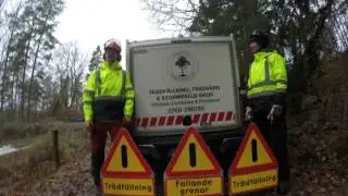 Arbortech Tr&auml;dservice Str&auml;ngn&auml;s. Tr&auml;df&auml;llning och tr&auml;dkl&auml;ttring/ sektionsf&auml;llning.