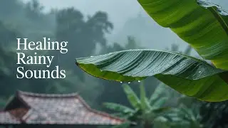 Transformative Healing Rainy Village Life Sounds! #rainsounds