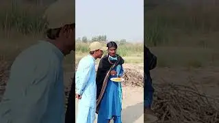 Rural Hindu Marriage Traditions | Simple Village Wedding & Vegetarian Food