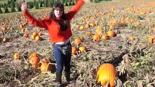 Finding The Perfect Pumpkin