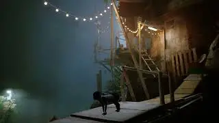 Stray: CJ Mod