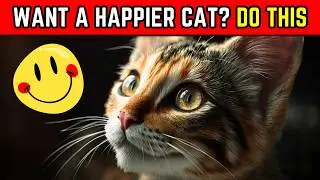 14 вещей, которые, по мнению науки, мгновенно делают кошек счастливее