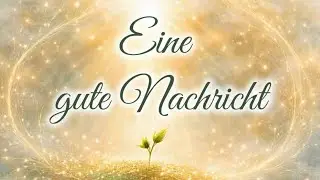🌱 Eine gute Nachricht – Das Leben findet zurück