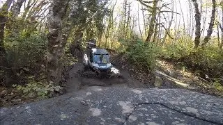 WET, STICKY, MUDDY UTV TRAIL RIDE ON A BEAUTIFUL FALL DAY IN THE CASCADE MOUNTAINS!