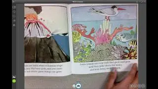 Our Earth by Anne Rockwell