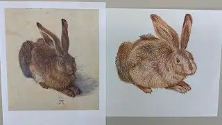 Young Hare Drawing Practice 3rd-5th (Mar 29th-April 2nd)