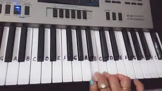Laila main Laila |Raees|Harmonium|Piano|Keyboard|Beginners| Slowly played in end...