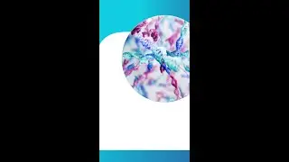 Accelerating drug discovery and development with our DEL platform