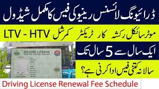 Punjab Driving License Renewal Fee 2025 | Updated 1 to 5 Year Fee Schedule