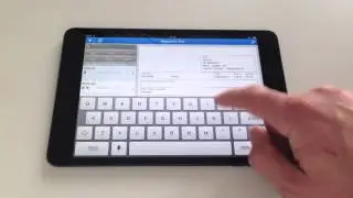 Rapportini Pro