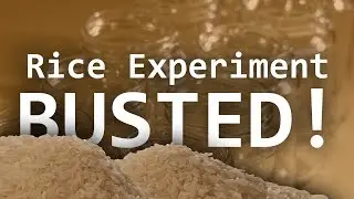Grant Thompson Rice Experiment BUSTED!