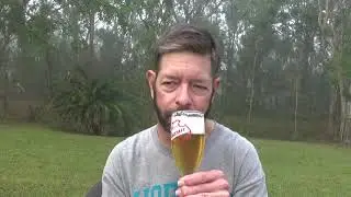 Louisiana Beer Reviews: Jever Pilsener (canned)
