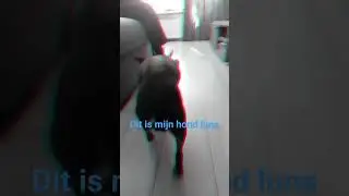 dit is mijn hond luna