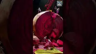 Tiny Workers and Beetroot Factory  #Shorts #MacroWorld