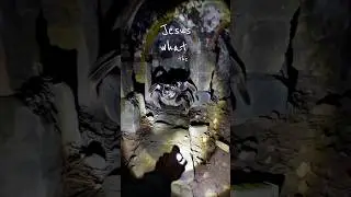 GIANT SPIDER ambushes Woman in Creepy Underground Tunnel?! #spider #horror #creepy