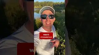 Will &ndash;&nbsp;не только о будущем