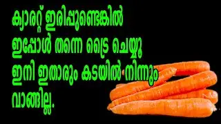 If you have carrots, try this/carrot recipes/evening snacks/carrot jam/jam recipes
