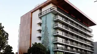 Montalba Architects: Nobu Palo Alto