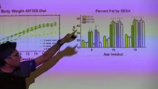 A deep dive in to insulin resistance and personal fat threshold part 2