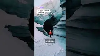 Muggen ontdekt in IJsland