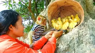 Awesome ! SokYaa & Mother Meet Baby While Find Bamboo Shoot