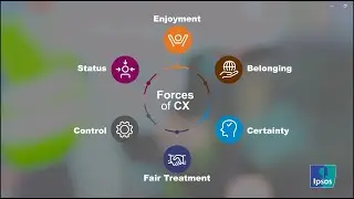 Ipsos CX Forces _ English Subtitles