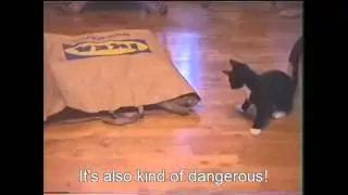 Sprattel, Musse. Two cute cats and an IKEA-bag.flv