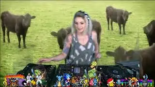 Amber D // Live DJs Matlock Exclusive!