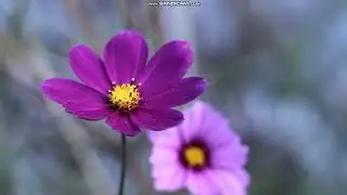 Причины для инвестирования в криптовалюты.  ( часть 2 )