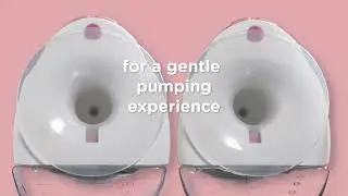 Tommee Tippee - Single Wearable Breast Pump | Halamama