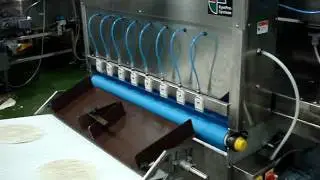 EyePro System - Tortilla Inspection & Rejection System