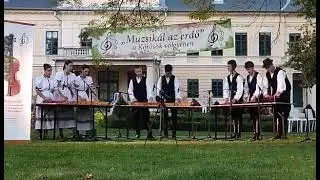 Muzsik&aacute;l az erd&otilde; - Gyula 2023 Bokreta Citera Csoport Temesvar