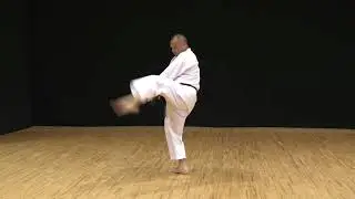 首里・泊手系 ウンスー①