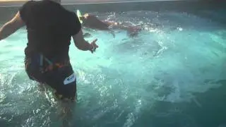 Warm Water Dog Swimming -- Come Swim With Your Dog at Rummy's Beach Club in Spring, Texas