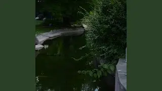 Mindfulness Zone