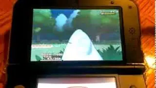 Pokemon Y PokeRadar Chain: Shiny Ditto
