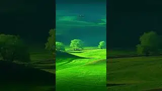 Nature of imagination  : A peacefully status