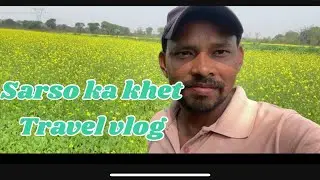 Sarso ka khet chakradharpur mae  // ckp vlog // travel in ckp &hellip;