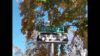 Spruce Street