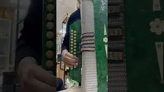 Гармонь Белорусь
