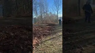 4 person crew. Largest cleanup I have. #largest #fallcleanup #smallbusiness #onthegrind #moneybaby