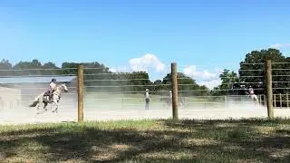 Can I use Cameo Fencing in an Arena?
