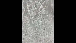 Ivory Beaded Lace/Ivory Beaded Lace Fabric/White Beaded Lace/Beaded Lace Fabric For Wedding Dresses
