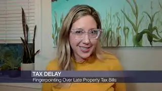 Finger-Pointing Over Late Cook County Property Tax Bills