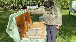 Checking my long horizontal hives in October.