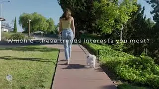 Lifestyle Trends