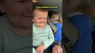 Hasbulla enemies to friends