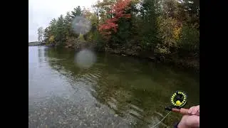 Fly Fishing Grand Lake Stream Maine