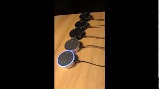 Five Amazon Echo Dots asked a question, closest one answers.
