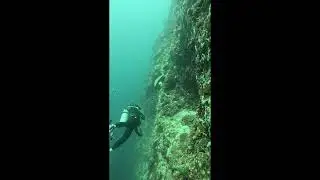 2025.10.03 02 SCUBA FUN GOPRO13 DIVESTORY MOALBOAL